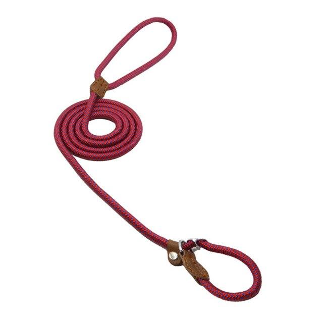 Trail Pup™ Padded Nylon Dog Collar & Matching Leash Adventure Set