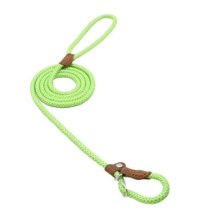 Trail Pup™ Padded Nylon Dog Collar & Matching Leash Adventure Set