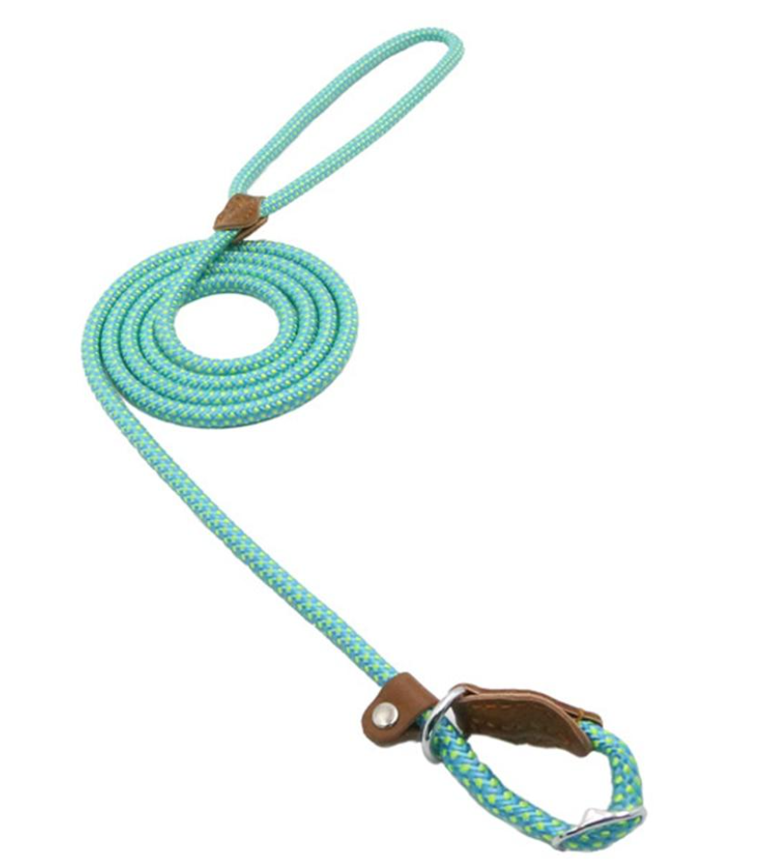 Trail Pup™ Padded Nylon Dog Collar & Matching Leash Adventure Set