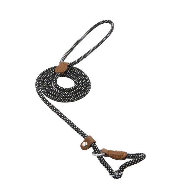 Trail Pup™ Padded Nylon Dog Collar & Matching Leash Adventure Set
