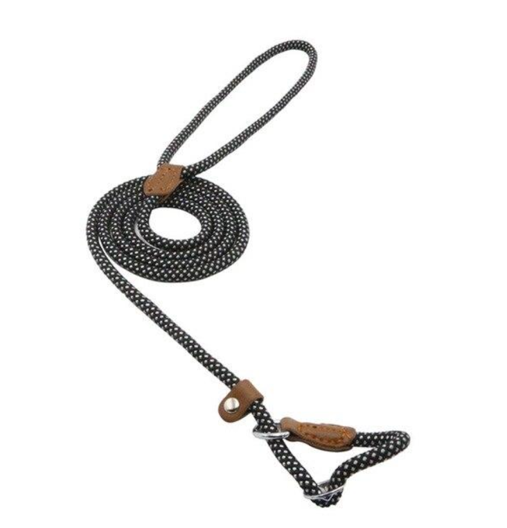 Trail Pup™ Padded Nylon Dog Collar & Matching Leash Adventure Set