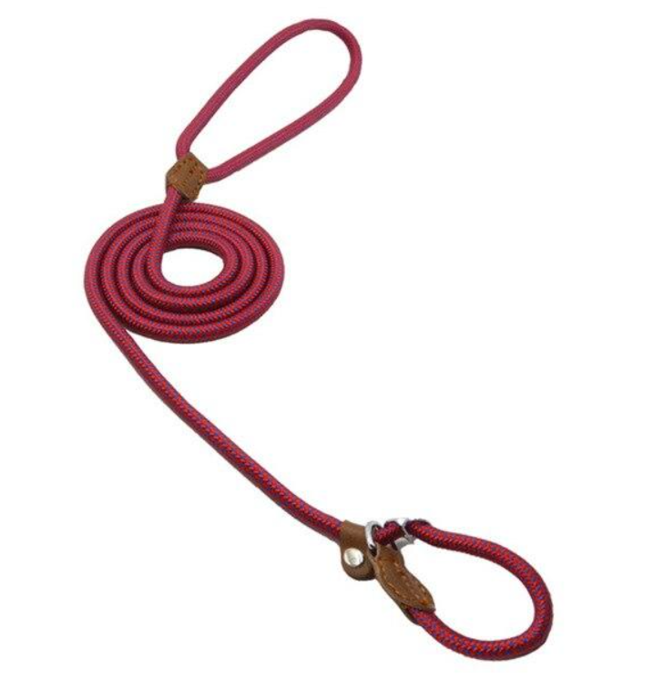 Trail Pup™ Padded Nylon Dog Collar & Matching Leash Adventure Set