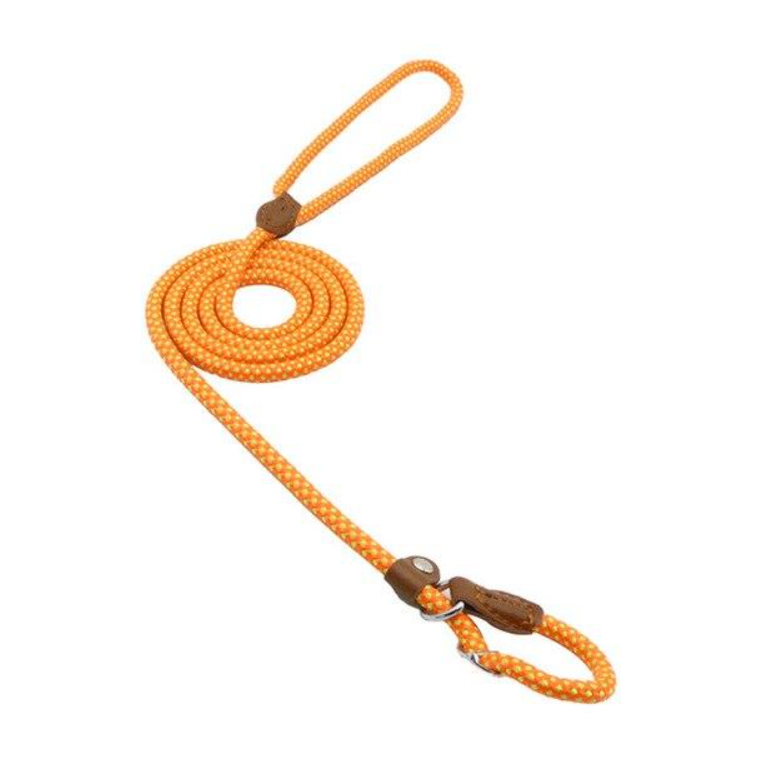 Trail Pup™ Padded Nylon Dog Collar & Matching Leash Adventure Set