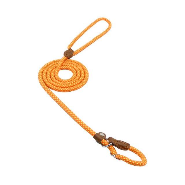 Trail Pup™ Padded Nylon Dog Collar & Matching Leash Adventure Set