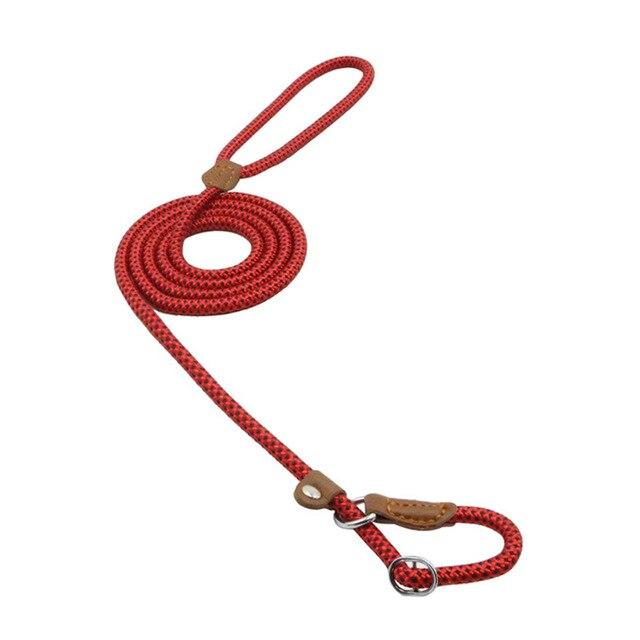 Trail Pup™ Padded Nylon Dog Collar & Matching Leash Adventure Set