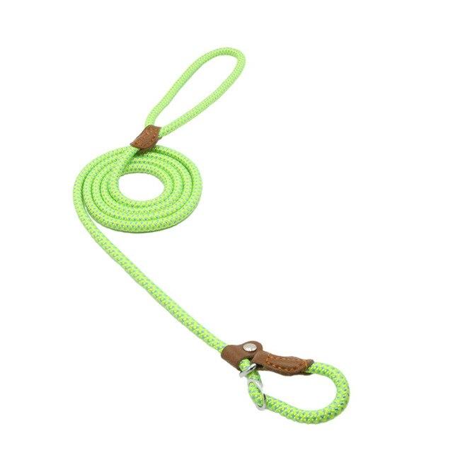Trail Pup™ Padded Nylon Dog Collar & Matching Leash Adventure Set