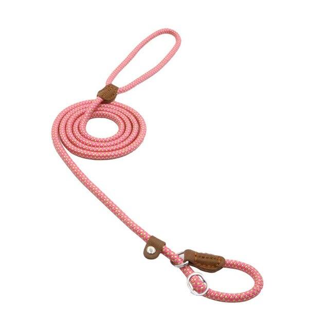 Trail Pup™ Padded Nylon Dog Collar & Matching Leash Adventure Set