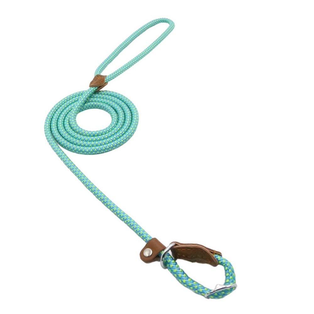 Trail Pup™ Padded Nylon Dog Collar & Matching Leash Adventure Set